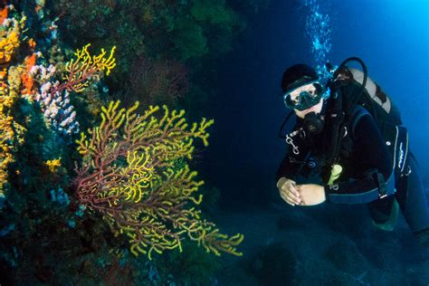 Unterwasser Fotografieren Lernen Unterwasser Fotografieren De