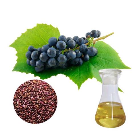 Organic Blackcurrant Seed Cold Pressed Carrier Oil Organic