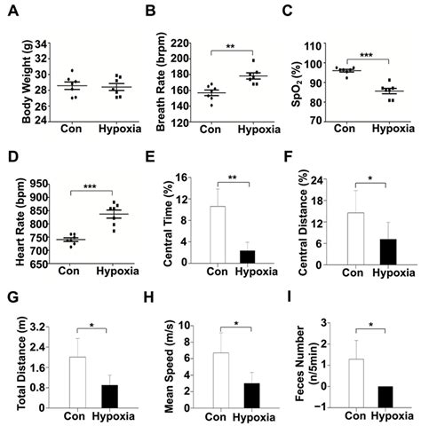 Ijms Free Full Text Different Expressions Of Hif And Metabolism