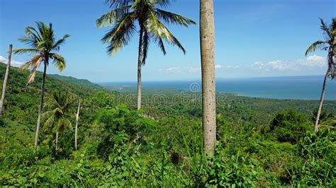 Samana Viewpoint Stock Image Image Of Caribbean Samana 95408457