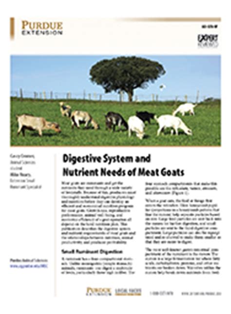 Digestive System And Nutrient Needs Of Meat Goats