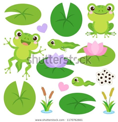 Set Cute Frogs Egg Masses Tadpole Stock Vector Royalty Free