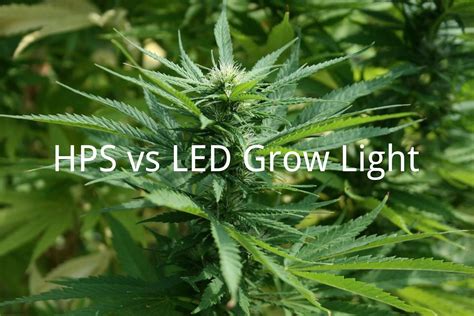 Tips For You How To Choose Led Grow Light Medicgrow