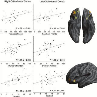 The Relationship Between GM Density Arbitrary Units In The Left And