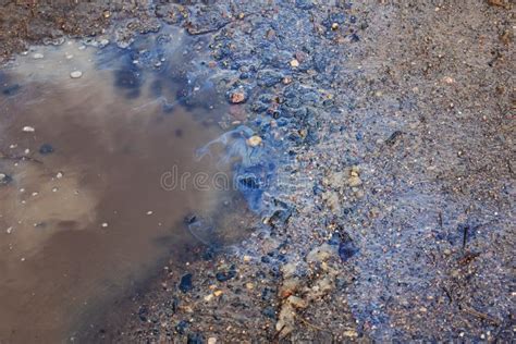 Petrol Puddle Stock Image Image Of Spill Background 19556939