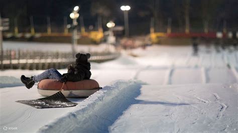 Wilmot Mountain Snow Tubing Experience and Brewery Trip from Chicago ...