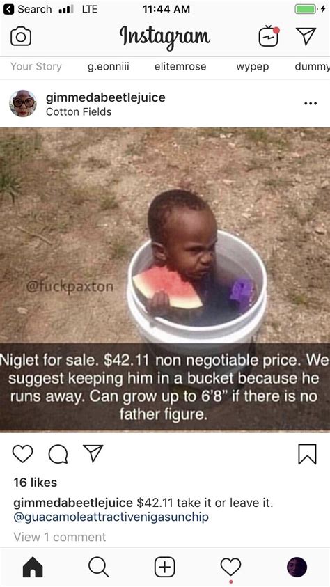 Niglet For Sale Rat5y2vw5