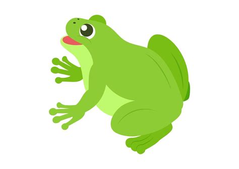 Frog Vector Art, Icons, and Graphics for Free Download