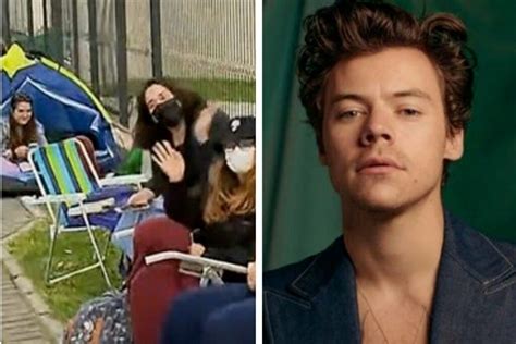 Quem S O As F S De Harry Styles Que Est O Acampadas H Um Ano Em Fila