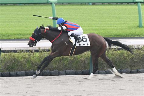 【2歳未勝利・中山1r】ムームが逃げ切り2戦目で初勝利！ 藤田菜七子騎手は今年9勝目 サンスポzbat