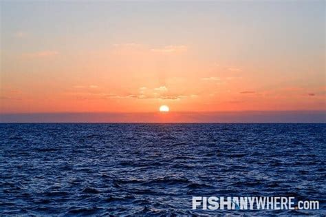 Fishing in Orange Beach, Alabama | FishAnywhere