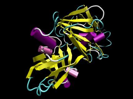 Difference Between Trypsin and Pepsin | Compare the Difference Between ...