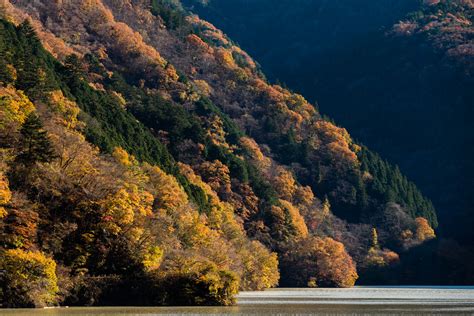 奥多摩紅葉景 写真と足跡