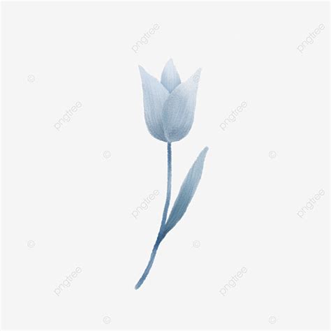 Tulipanes Azules Hermosos Png Dibujos Tulip N Azul Hermoso Png Y Psd