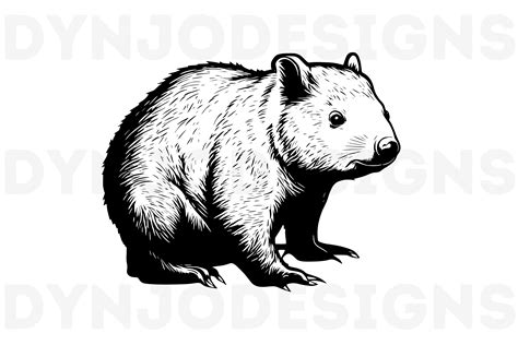 Wombat Png Svg Clipart Vector Graphic By Dynjodesigns · Creative Fabrica