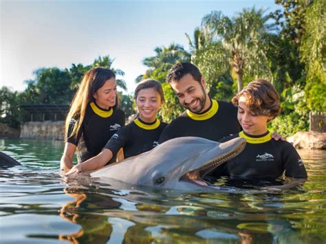 Why Discovery Cove Is Floridas Hidden Romantic Gem Islands