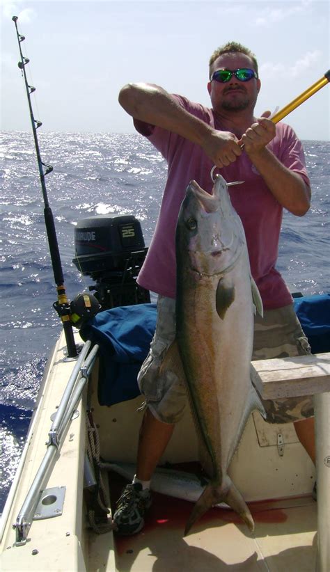 Greater Amberjack Florida Sportsman