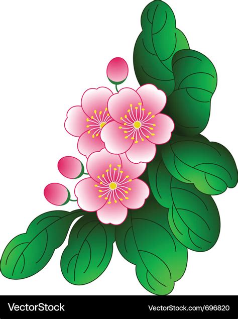 Spring flower Royalty Free Vector Image - VectorStock