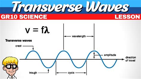 3 Transverse Waves Grade 10 Youtube