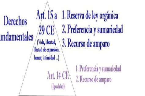 Derechos Fundamentales En La Constitución Todo Lo Que Debes Saber