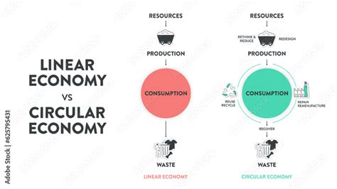 The Vector Infographic Diagram Of The Difference Between The Circular