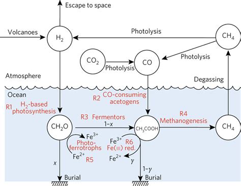 Earths Biosphere Diagram