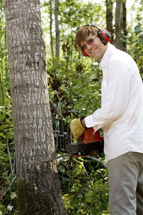 Man Cutting Down A Tree Stock Photo Image Of Lumber