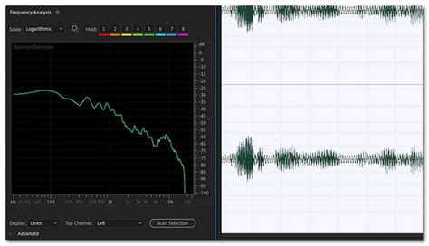 Full Guide To Removing Background Noise In Adobe Audition