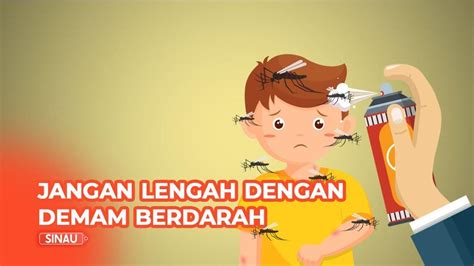 5 Cara Mudah Dan Ampuh Mengobati Demam Berdarah Agar Cepat Sembuh