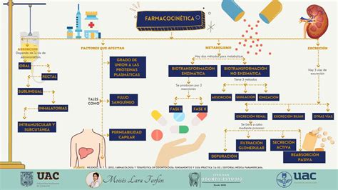 Mapa Mental Sobre Farmacocinetica Ologia The Best Porn Website