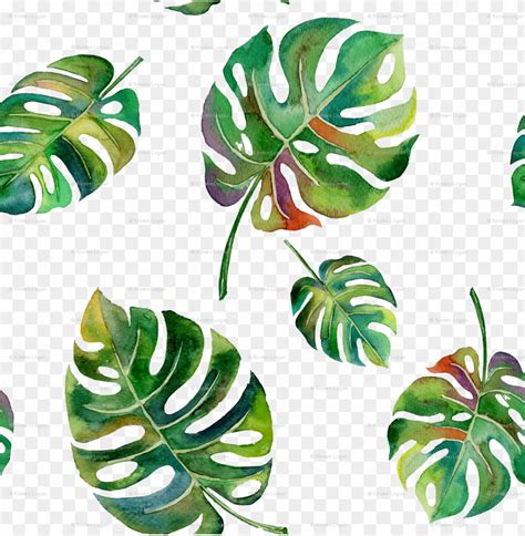 Tropical Leaf Watercolor Png Watercolor Palm PNG Transparent With