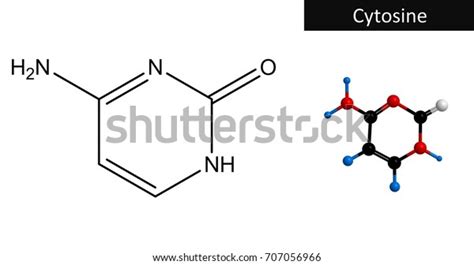 Molecular Structure Cytosine Nucleobase Derived Pyrimidine Stock