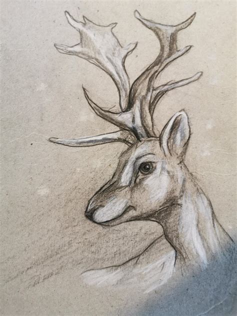 Reindeer drawing I did in art class. : r/drawing