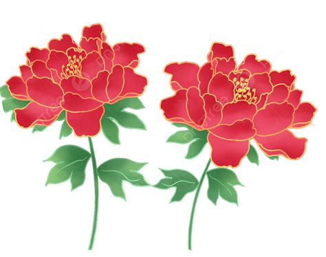 National Flower Peony Flowers National Flower Peony Red Png