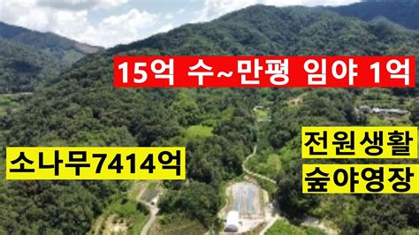 1억 송이산 수~만평보전관리13215평포함 소나무조경수7414억원 숲경영전원생활산약초 숲야영장탠트고기집6차산업1689개