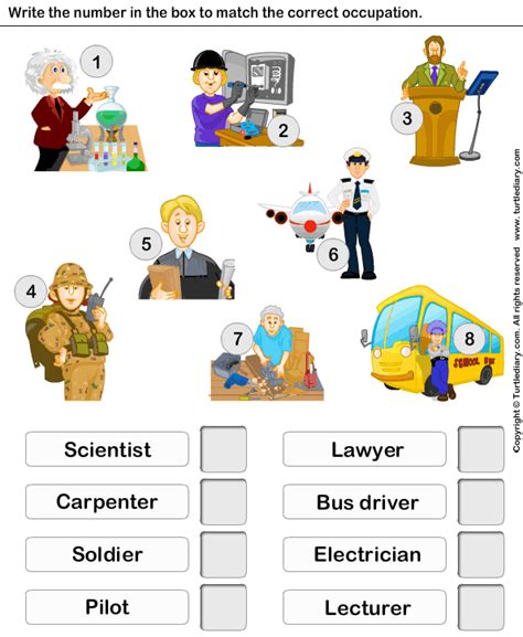 Find The Correct Occupation Of The Person Turtle Diary Worksheet