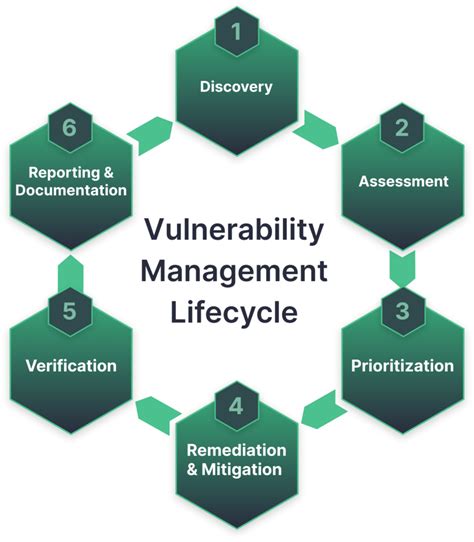 What Is The Vulnerability Management Lifecycle Soc Prime