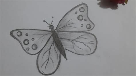 How To Draw Butterfly Very Easy And Simple Drawing Butterfly Art For