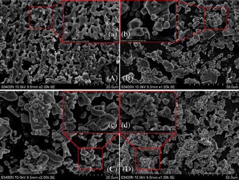 SEM Observation Of Myofibrillar Protein Microstructure SEM Images At