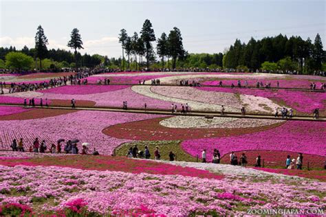 When's the best time to travel to Japan?