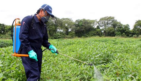 Métodos De Control Químico De Plagas Agrícolas Plagas Agrícolas Y Urbanas