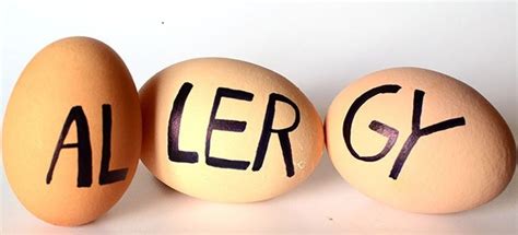 What is childhood egg allergy? Symptoms of egg allergy - CookingEggs