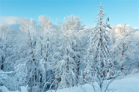 Premium Photo Winter Ukrainian Carpathian Mountains Landscape