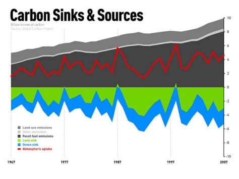 The Carbon Cycle - Conserve Energy Future