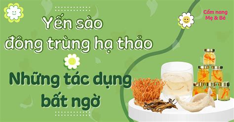 Yến sào đông trùng hạ thảo có tác dụng gì Lợi ích và Hướng dẫn chi tiết