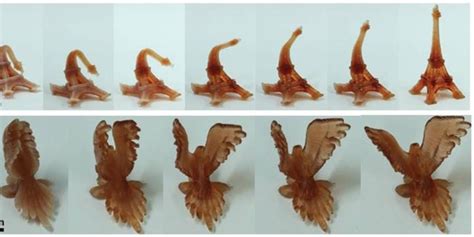 4D printing a shape memory polymer