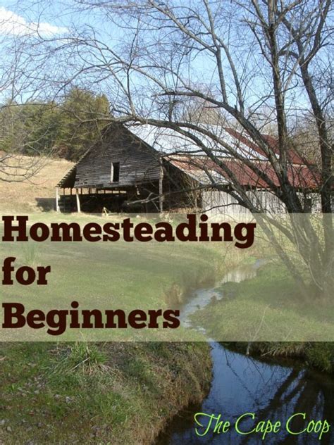 Homesteading for Beginners - The Cape Coop