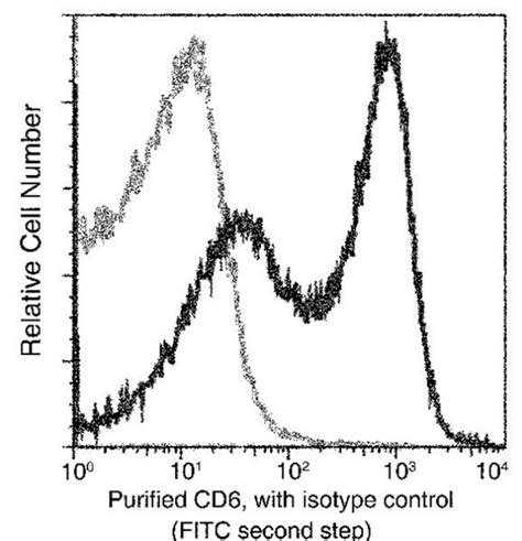 CD6 Monoclonal Antibody 01 Invitrogen 100 μL Unconjugated