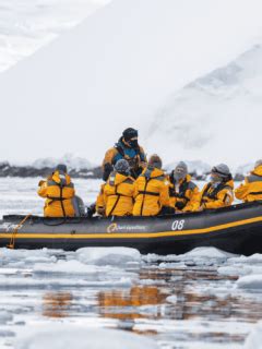 Emperor Penguin Quest Expedition To Snow Hill Quark Expeditions