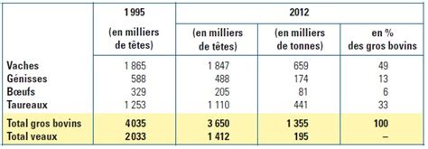 Le Cheptel Bovin Et La Production De Viande Bovine Economie M Tiers